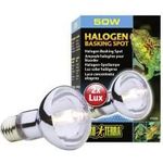 Exo Terra Halogen Basking Spot 50w