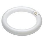 Philips Lifemax BrightBoost TL E Super 80 32W 865