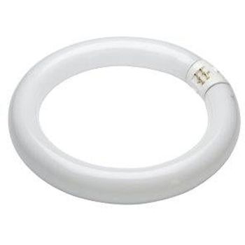 Philips Lifemax BrightBoost TL E Super 80 32W 865