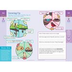 Brain Quest Summer Brain Quest Between Grades 2 & 3