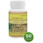 Sido Muncul Natural Sari Daun Sirsak 50cap
