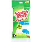 3M Scotch Brite Mesh Sponge