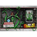 Wizkids Dc Heroclix Notorious Play At Home Kit