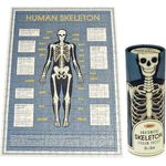 Rex London Anatomical Skeleton Puzzle In A Tube