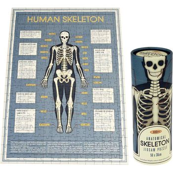 Rex London Anatomical Skeleton Puzzle In A Tube