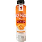 Haus Brew Rock Melon 400ml