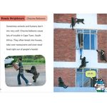 Maverick Early Reader Turquoise Level 7 City Animals
