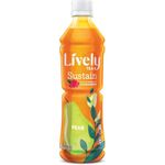 Lively Pear Schisandra Tea 450ml