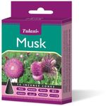 Tulasi Incense Cones Musk 15pcs