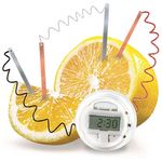 4M KidzLabs Lemon Clock