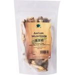 Green Earth Organic Antler Mushroom 50g