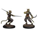 Wizkids Tabaxi Rogue Male