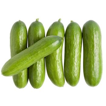 Baby Cucumber       