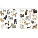 Thames & Hudson Big Dogs Little Dogs A Visual Guide to the World’s Dogs