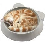 Marukan Cat Cooling Pot Fuji