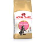 Royal Canin Maine Coon Kitten 4kg