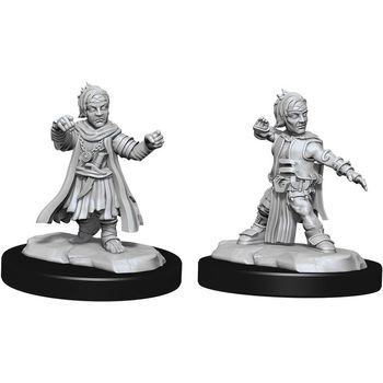 Wizkids Male Halfling Monk