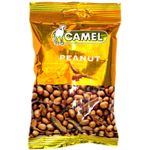 Camel Ikan Bilis Peanuts 40g