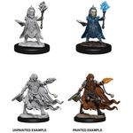 Wizkids Pathfinder Deep Cuts: Evil Wizards