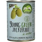 Nature's Charm Young Green Jackfruit In Brine 570g