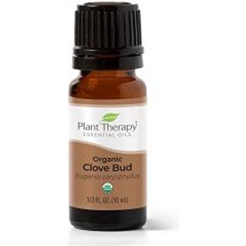 Plant Therapy Organic Clove Bud Essential Oil 10ml