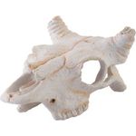 Exo Terra Buffalo Skull Small