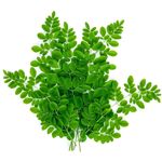 Moringa Leaves        