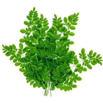 Moringa Leaves        