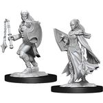 Wizkids Female Kalashtar Cleric