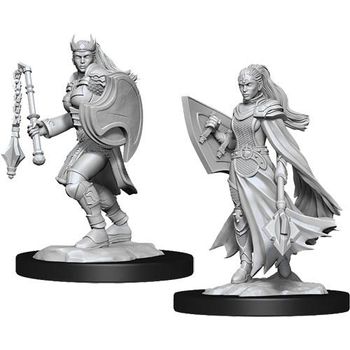 Wizkids Female Kalashtar Cleric