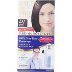 Dariya Salon de Pro Cream Hair Dye 4v Violet Brown