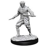 Wizkids Pathfinder Deep Cuts: Male Elf Rogue