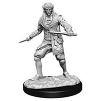 Wizkids Pathfinder Deep Cuts: Male Elf Rogue