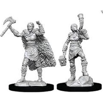 WizKids Nolzur's Marvelous Miniatures D&D Human Female Barbarian Wzk90056