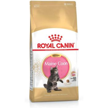 Royal Canin Maine Coon Kitten 400g