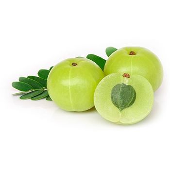 Amla Indian Gooseberry