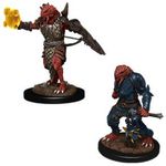 Wizkids Dragonborn Paladin Male (Wave 11)