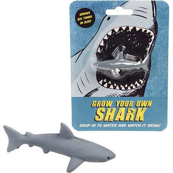 Rex London Grow Your Own Shark