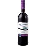Two Oceans Shiraz 750ml