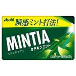 Asahi Mintia Catechin Tea Mint 50 Tablets