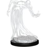 Wizkids Shadows D&D Nolzur's Miniatures