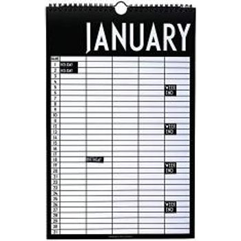 Design Letters Monthly Wall Planner With Birthday & Holiday Stickers