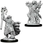 Wizkids Dragonborn Sorcerer Female (Wave 8)