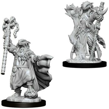 Wizkids Dragonborn Sorcerer Female (Wave 8)