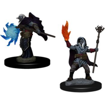 D&D Nmu Elf Male Wizard W2