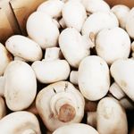 White Button Mushroom 1 pack x 200gm