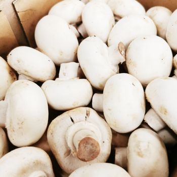 White Button Mushroom 1 pack x 200gm