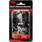 Dungeons & Dragons Nolzurs Marvelous Miniatures: Human Male Ranger