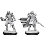 Wizkids Female Dragonborn Fighter