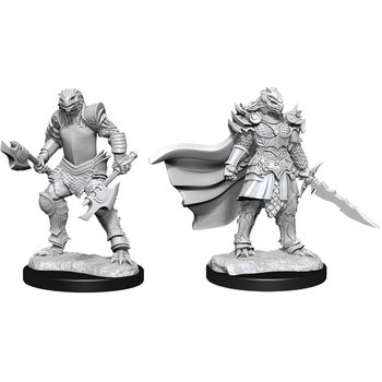 Wizkids Female Dragonborn Fighter